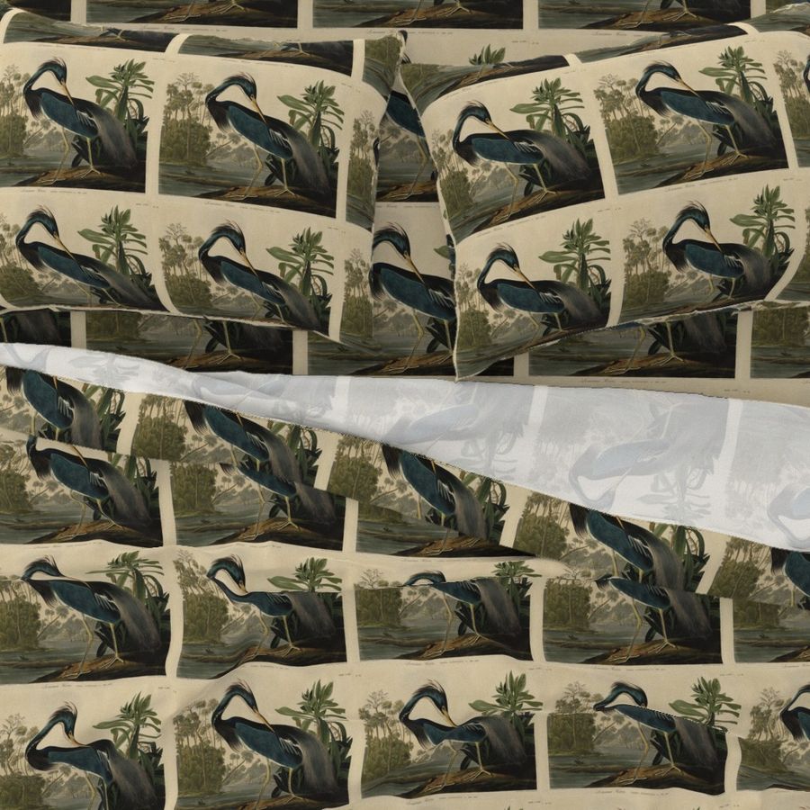 217 Louisiana Heron from Audubon Birds of America