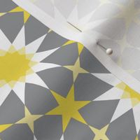 11120575 : SC64E4 : spoonflower0582