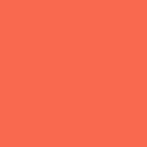 Tropical Vermillion Red Orange Solid / Halloween