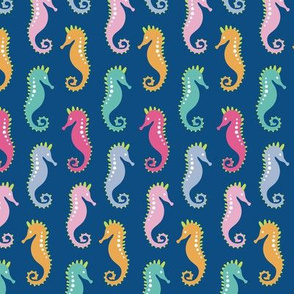 Seahorses Rainbow