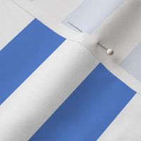 Large Cornflower Blue Awning Stripe Pattern Horizontal in White