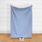 Large Cornflower Blue Awning Stripe Pattern Vertical in White