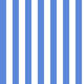 Cornflower Blue Awning Stripe Pattern Vertical in White