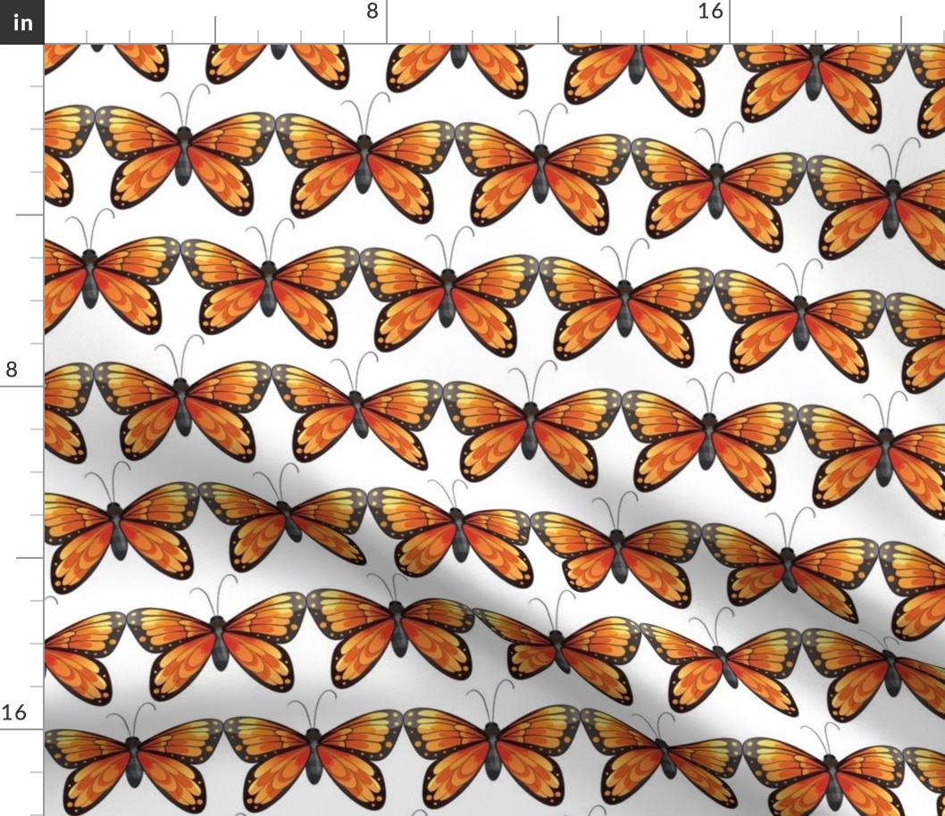 Butterflies Monarch on White