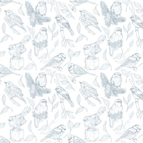 Backyard Birds Denim Blue Ink On White