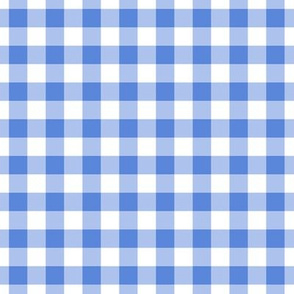 Gingham Pattern - Cornflower Blue and White