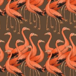 Row of flamingo