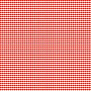 Gingham Check Red And White 