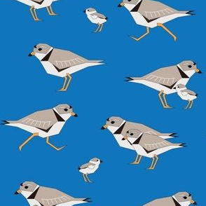 Geometric Piping Plovers