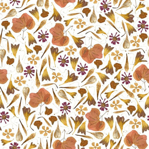 dried flowers white background