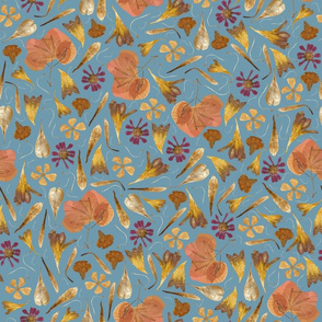 dried flowers blue background 