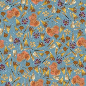 dried flowers blue background small