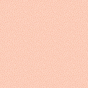 Light Pink Dashes and Dots - Medium