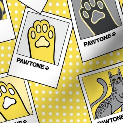 Pawtone World of Cat Colors in Illuminating Yellow 