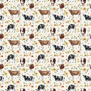 Holstein, Hereford, Jersey Cows - Medium