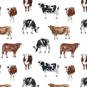 Farm Cows on White - Large