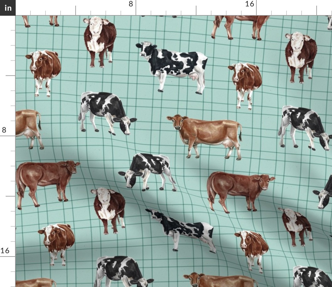 Cows on Aqua Blue Pin Stripes - Large