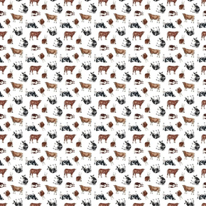 Cows on White - Small