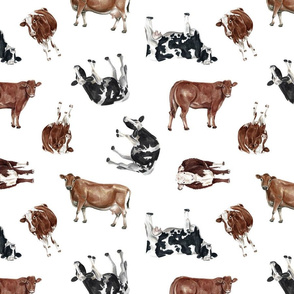 Cows on White - Large