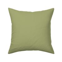 Vintage Moss Green Solid