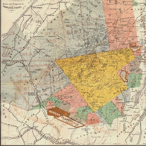 Antique Map of the Adirondacks New York from 1873 by Colvin