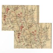 Antique Map of Yellowston National Park Wyoming from 1881