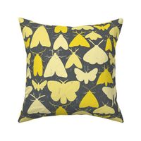 Moth outlines - yellow and gray