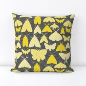 Moth outlines - yellow and gray