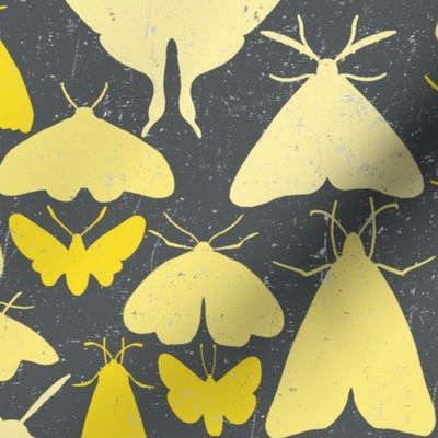 Moth outlines - yellow and gray