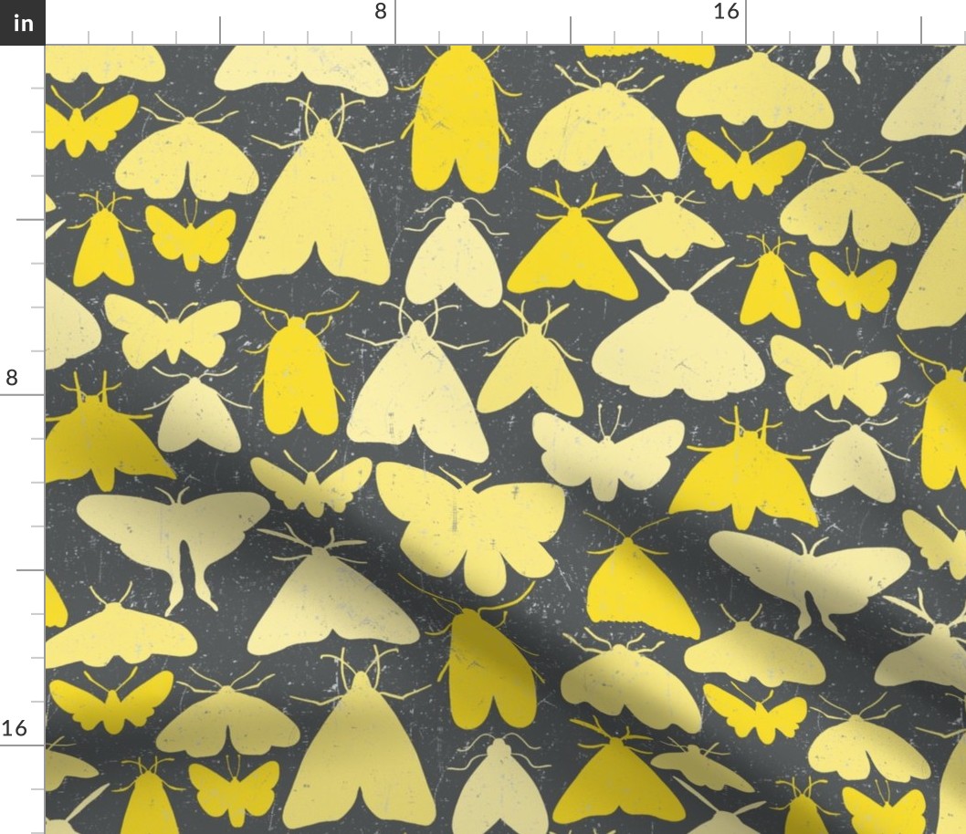 Moth outlines - yellow and gray