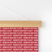 Remove Before Flight (Small)