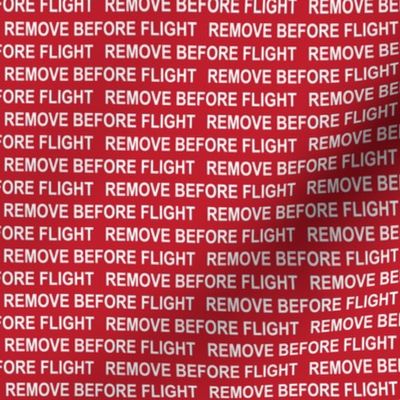 Remove Before Flight (Small)