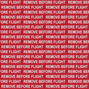 Remove Before Flight (Small)