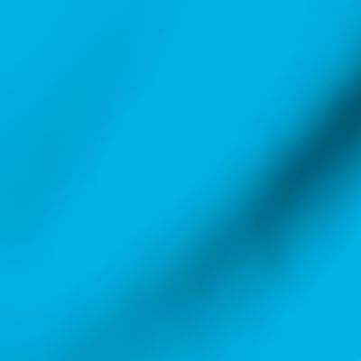 Solid Cerulean Color - From the Official Spoonflower Colormap