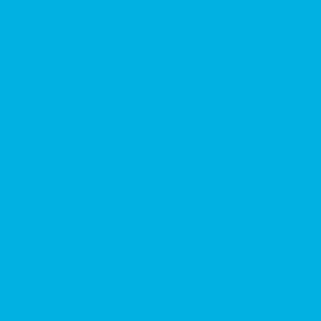 Solid Cerulean Color - From the Official Spoonflower Colormap