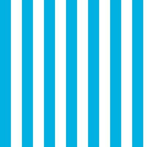 Cerulean Awning Stripe Pattern Vertical in White