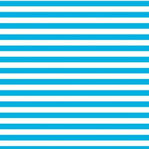 Cerulean Bengal Stripe Pattern Horizontal in White