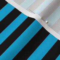 Cerulean Awning Stripe Pattern Horizontal in Black