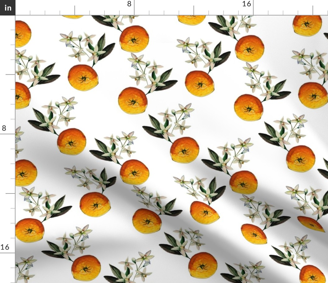 Oranges & Blossom On White 