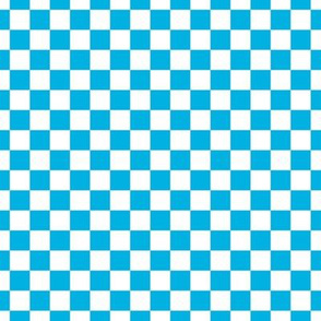 Checker Pattern - Cerulean and White