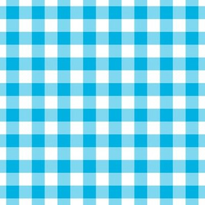 Gingham Pattern - Cerulean and White