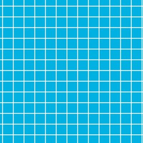 Grid Pattern - Cerulean and White
