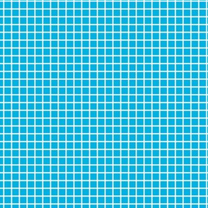 Small Grid Pattern - Cerulean and White