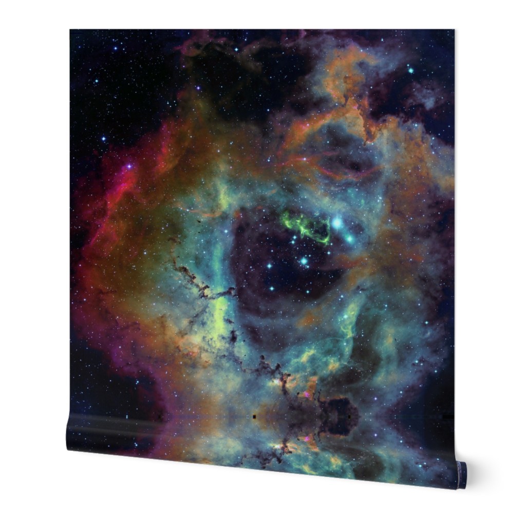 the Rosette Nebula (edited)