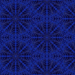 Spangled Webs of Blue on Blackberry