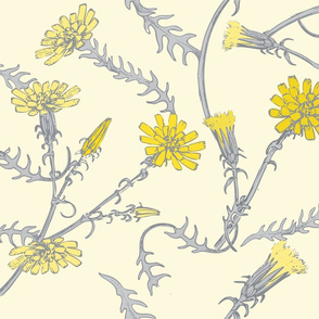 Yellow Daisies and Gray Leaves