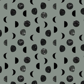 hull speckled black moon phases