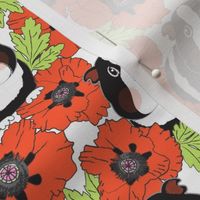 large guinea pigs and poppies on white