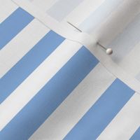 Pale Cerulean Awning Stripe Pattern Horizontal in White