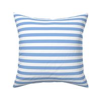 Pale Cerulean Awning Stripe Pattern Horizontal in White